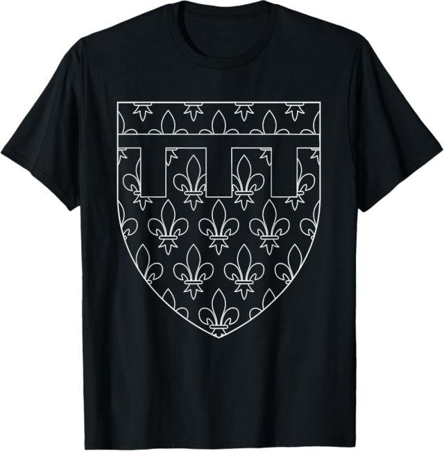 Unveiling the Best Medieval Dynasty Merch: A Shopper's Guide