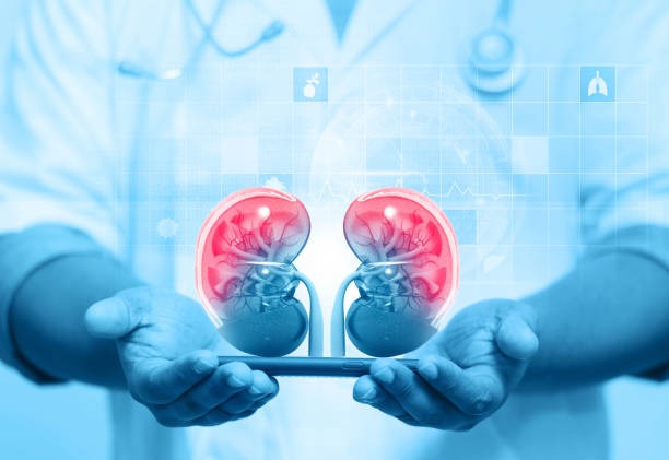 Men, Women & Urology Health Tips for Every Body